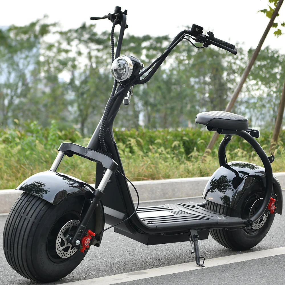 Adult Electric 2 Wheel Scooter
