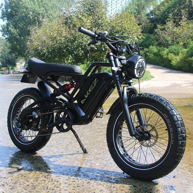 Electric Bicycle for Adult