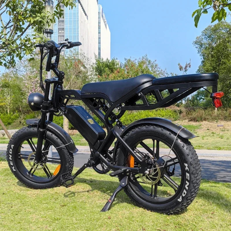 off-road mountain beach riding Ebike 20 Inch tires rear seat rack