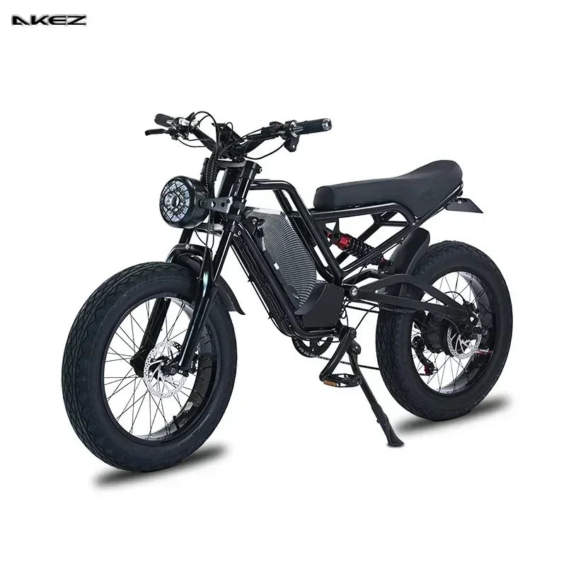 Electric Bicycle for Adult