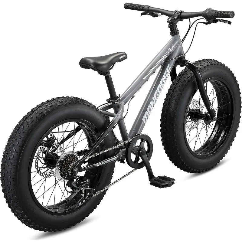 Mountain Bike , 20 to 26-Inch Wheels, Mechanical Disc Brakes