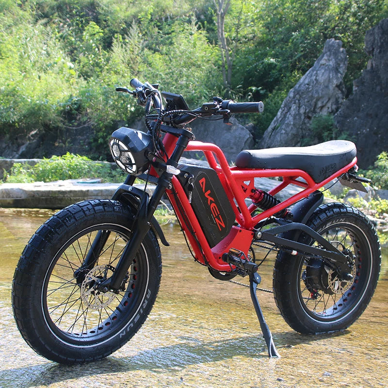 Electric Bicycle for Adult