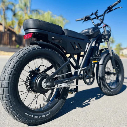 Adults 20 Inch Fat Tire Off Road  Mountain Electric Bicycle