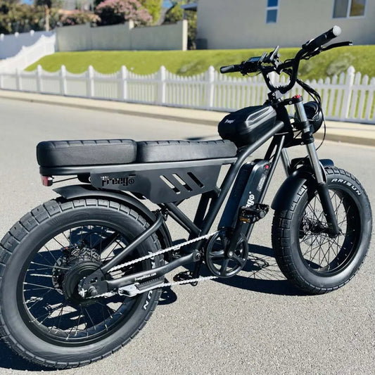 Adults 20 Inch Fat Tire Off Road  Mountain Electric Bicycle