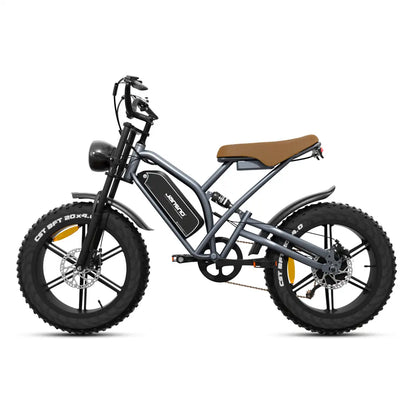 20" Fat Tires Electric Bikes 750W Motor 48V 14Ah Battery