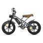 20" Fat Tires Electric Bikes 750W Motor 48V 14Ah Battery