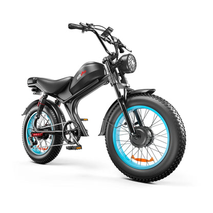 Electric Bike, 1000W*2, 20x4.0 Inch, Hydraulic Brake