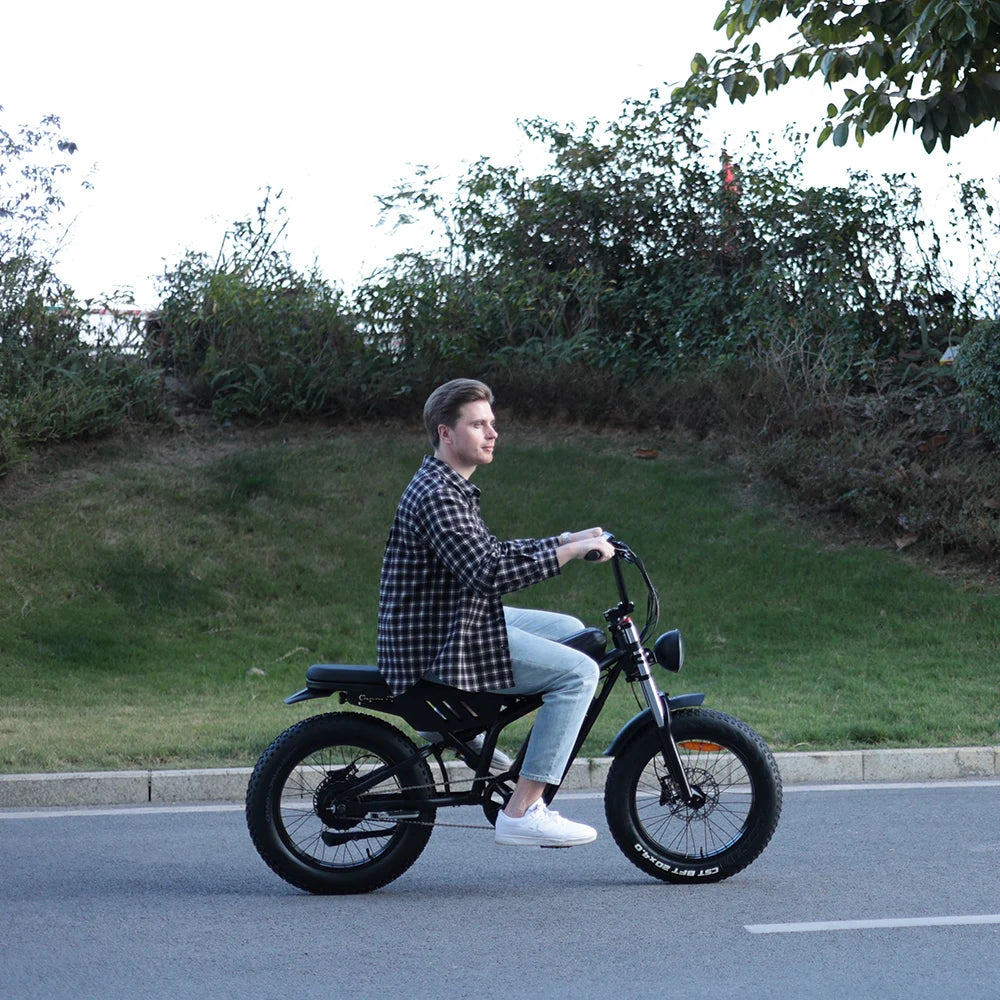 Adults 20 Inch Fat Tire Off Road  Mountain Electric Bicycle