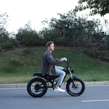 Adults 20 Inch Fat Tire Off Road  Mountain Electric Bicycle