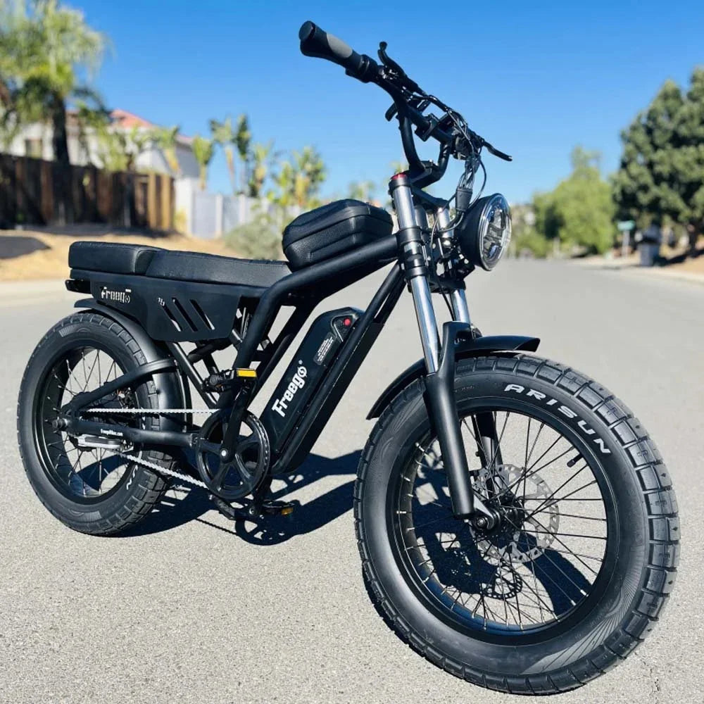 Adults 20 Inch Fat Tire Off Road  Mountain Electric Bicycle