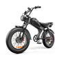 Electric Bike, 1000W*2, 20x4.0 Inch, Hydraulic Brake