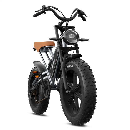 20" Fat Tires Electric Bikes 750W Motor 48V 14Ah Battery
