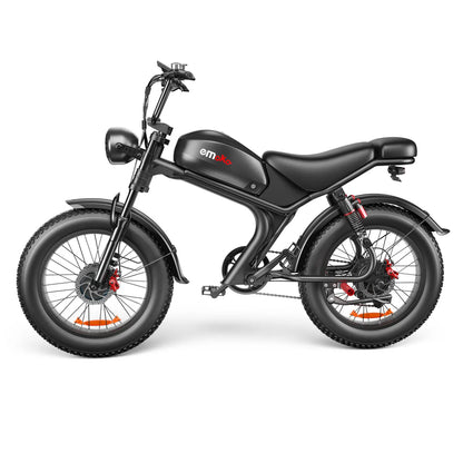 Electric Bike, 1000W*2, 20x4.0 Inch, Hydraulic Brake