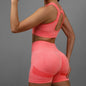 2 Pcs Yoga Set Women Hollow Back Sports Bra+Hip