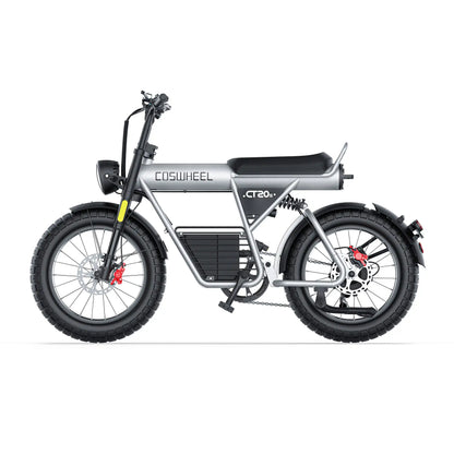Off Road Electric Bike Ebike Fat Tire Bike