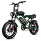 Adults  2000W Dual Motor  20" Electric E Bikes Mountain Moped