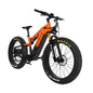 26 inch fat tires ,e-bike, 9-speed mountain off-road