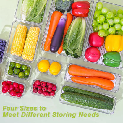 Refrigerator Storage Box With Lid Transparent