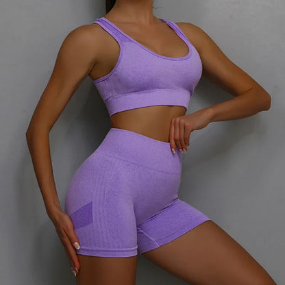 2 Pcs Yoga Set Women Hollow Back Sports Bra+Hip