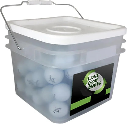 Lost Golf Balls Recycled & Used Near Mint Condition