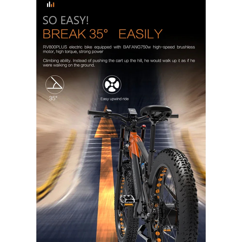 Mountain Electric bicycle 750W Motor