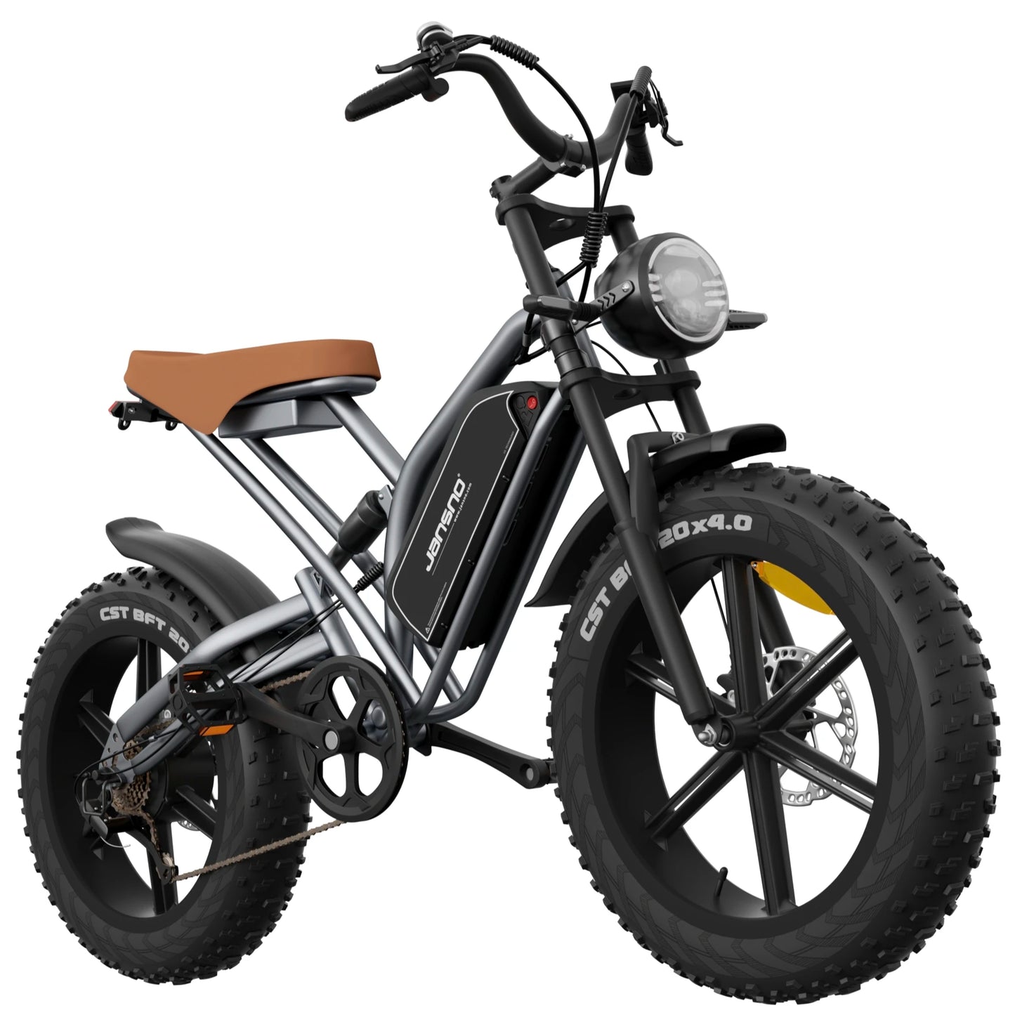30MPH 1000W Peak Motor Electric Bicycle Adult 20*4 Inch Fat Tire