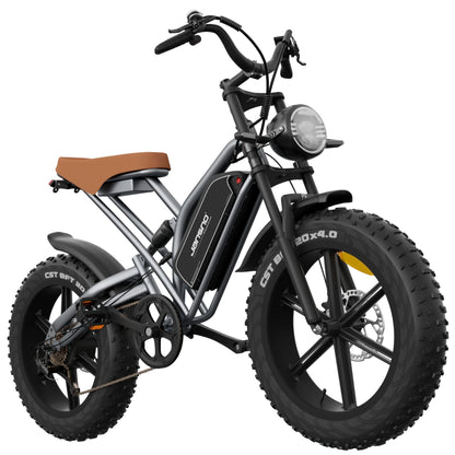 30MPH 1000W Peak Motor Electric Bicycle Adult 20*4 Inch Fat Tire