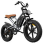 30MPH 1000W Peak Motor Electric Bicycle Adult 20*4 Inch Fat Tire