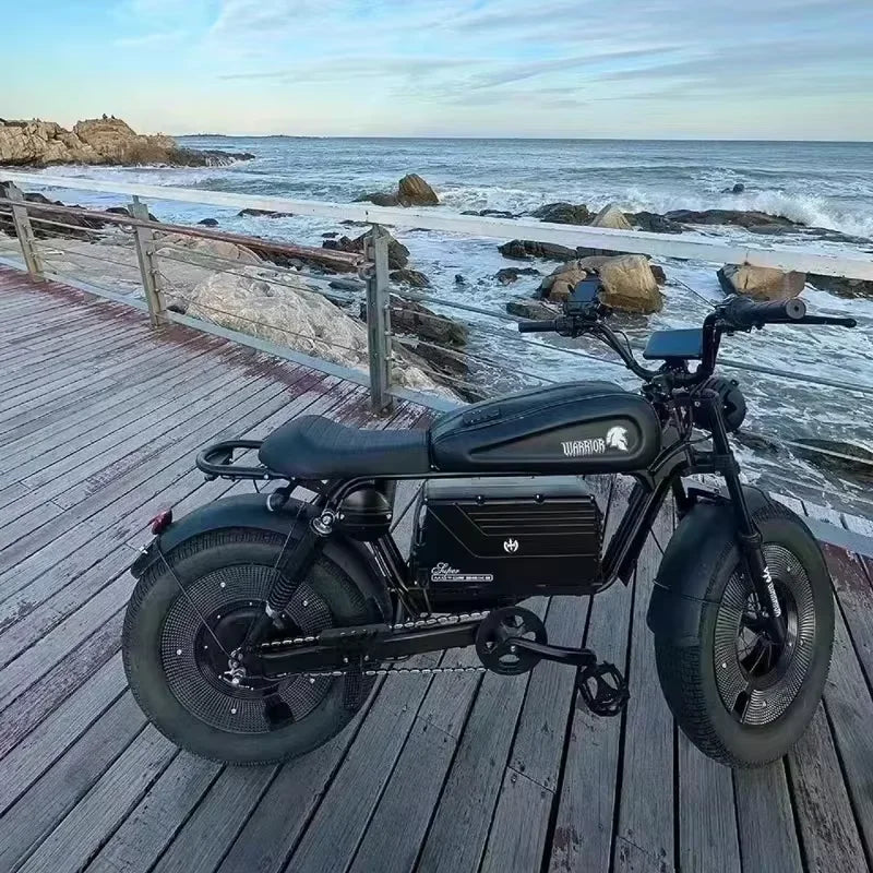 Adult Highway Electric Bike 20-inch Off-Road Fat Tires Ebike