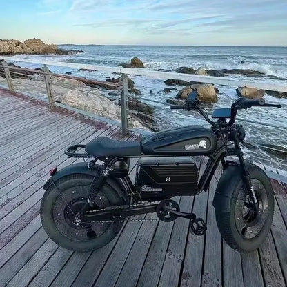 Adult Highway Electric Bike 20-inch Off-Road Fat Tires Ebike