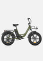 Fat Tire 140km Mileage Mountain Electric Bike