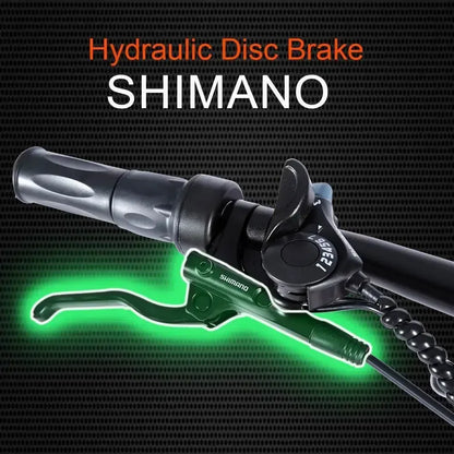 Electric Bike Hydraulic brake 27*2.4inch tire