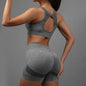 2 Pcs Yoga Set Women Hollow Back Sports Bra+Hip