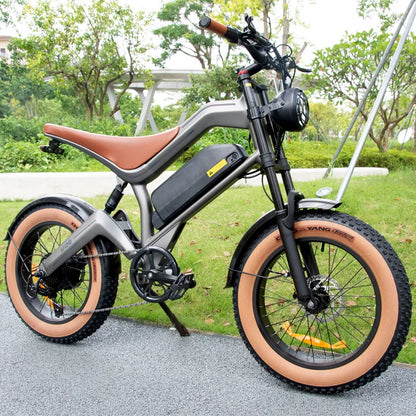 Electric Bike Hydraulic Brake 20*4.0 Inch Fat Tire