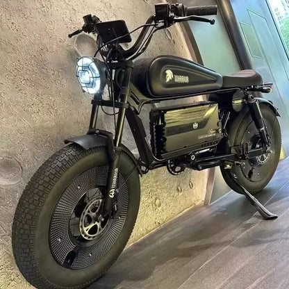 Adult Highway Electric Bike 20-inch Off-Road Fat Tires Ebike