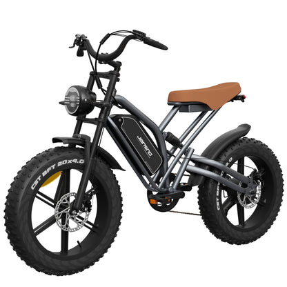 30MPH 1000W Peak Motor Electric Bicycle Adult 20*4 Inch Fat Tire