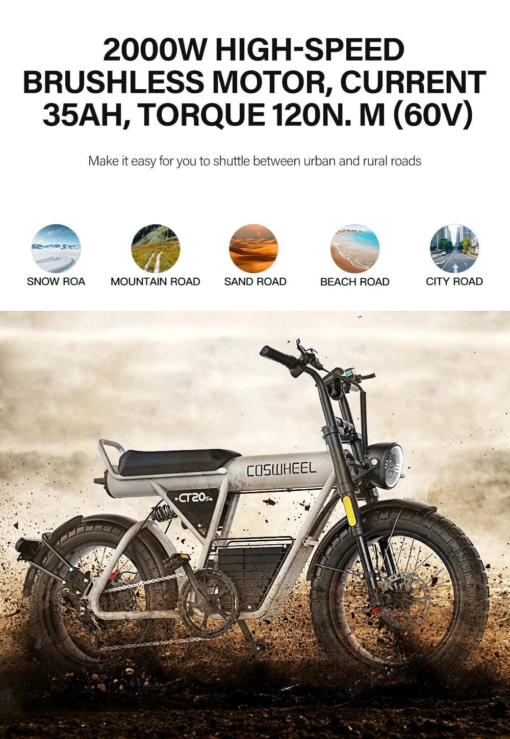 Off Road Electric Bike Ebike Fat Tire Bike
