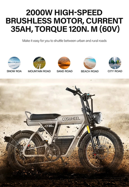 Off Road Electric Bike Ebike Fat Tire Bike
