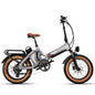 Multifunctional Long Endurance Electric Bike 48V13AH+16AH