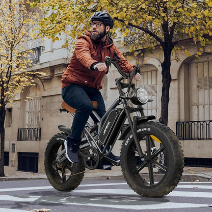30MPH 1000W Peak Motor Electric Bicycle Adult 20*4 Inch Fat Tire