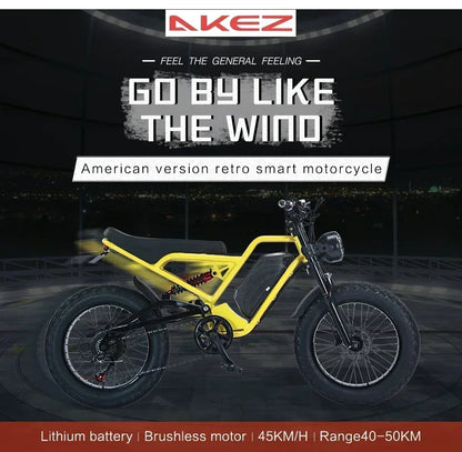 Electric Bicycle for Adult
