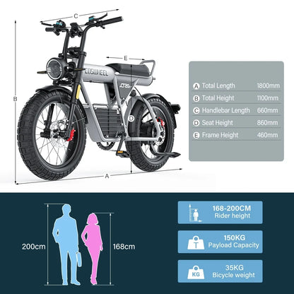 Off Road Electric Bike Ebike Fat Tire Bike