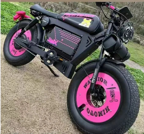 Electric Bikes Up to 3000W 60V 45AH Black Warrior