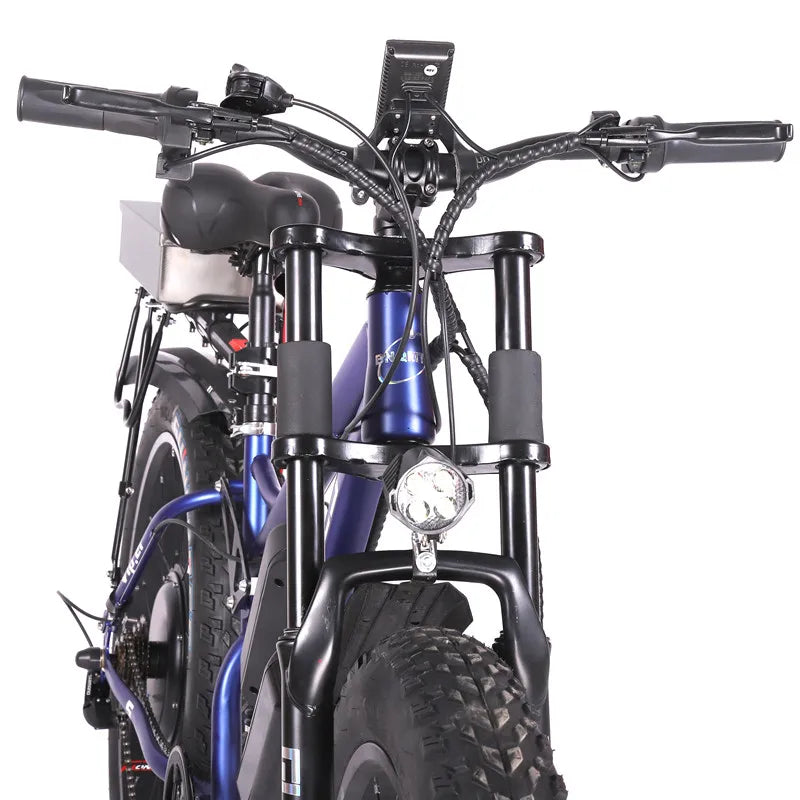 Electric Bicycle , Fat tire, Front and Rear, Double Drive, Mountain Bike