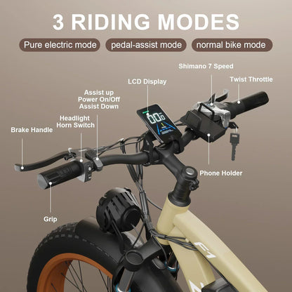 26inch tire Electric bike adult Hydraulic brake snow beach E-bike