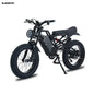 Electric Bicycle for Adult