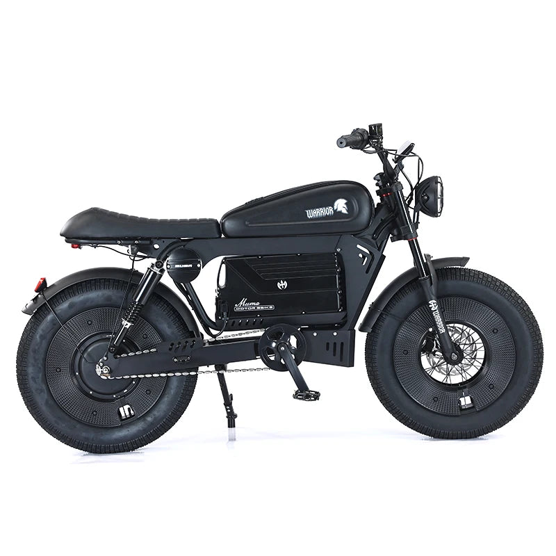 Electric Bikes Up to 3000W 60V 45AH Black Warrior