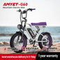 Adults Electric Bike 1000W Motor 48V 20AH 20“ Tire