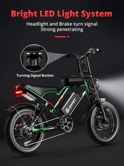 Adults  2000W Dual Motor  20" Electric E Bikes Mountain Moped