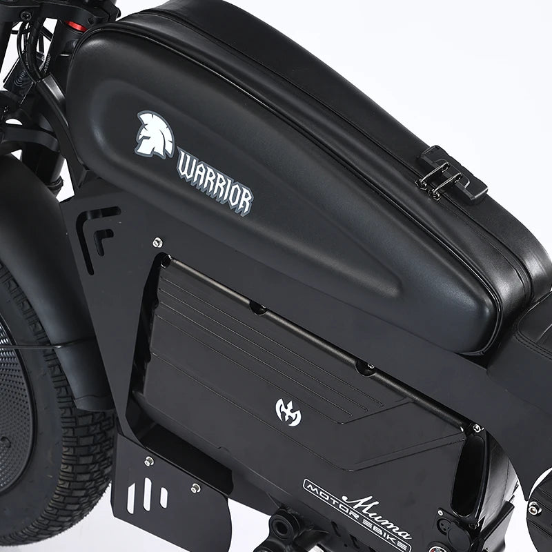Electric Bikes Up to 3000W 60V 45AH Black Warrior